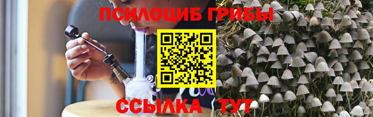 Бирск  Галлюциногенные грибы Psilocybine cubensis  купить  сайты  Вход с VPN 